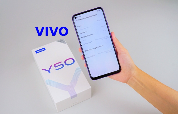 About the Vivo